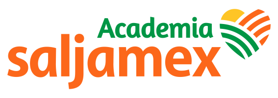 Cursos